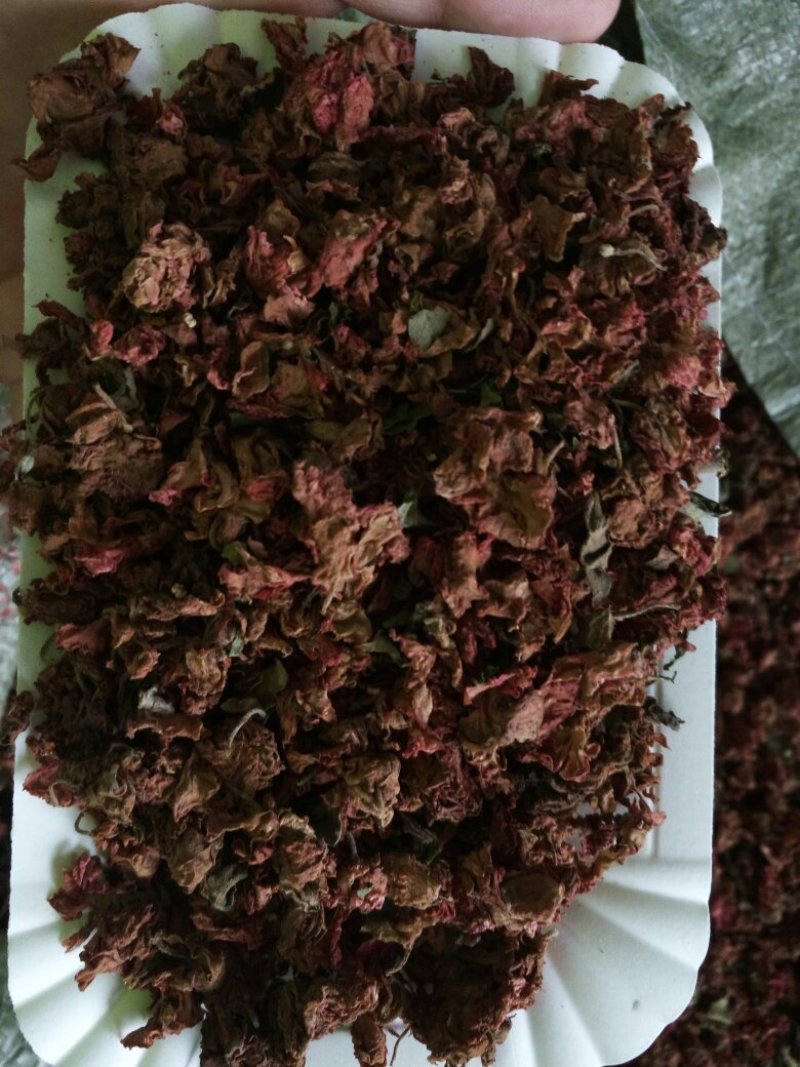 凤仙花
