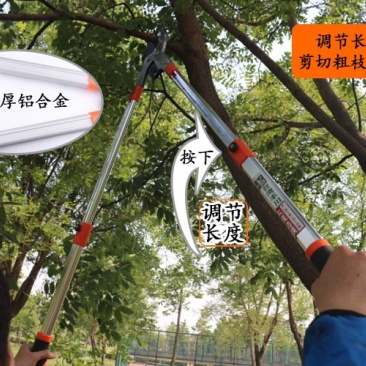 伸缩树枝剪修枝剪〈包邮〉