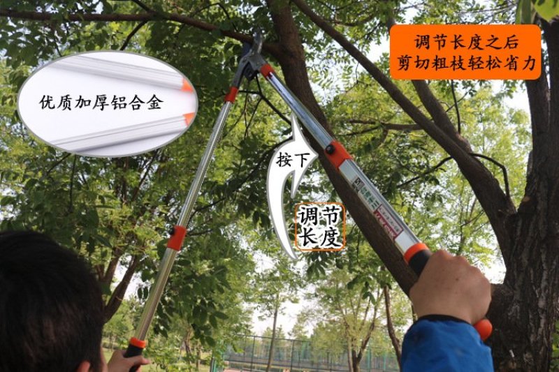伸缩树枝剪修枝剪〈包邮〉