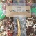 36味精配泡酒茸鞭大补鹿茸鹿鞭自营鹿场正品