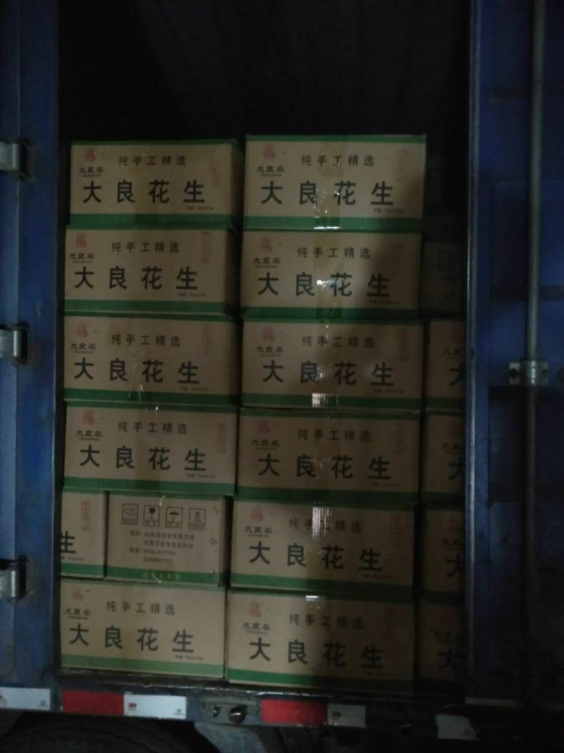 花生种子，花生芽专用种子