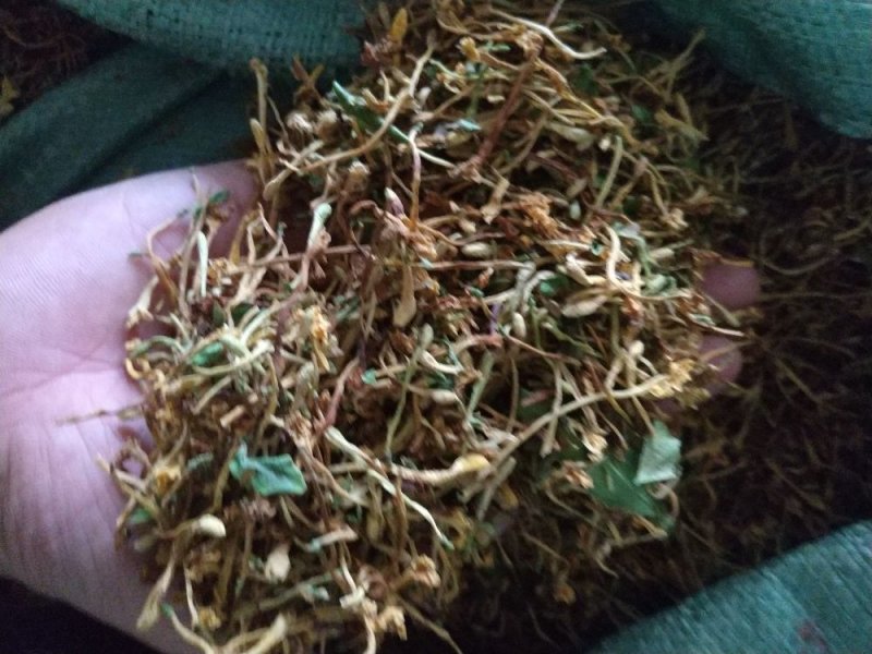 金银花云南野生干货现货