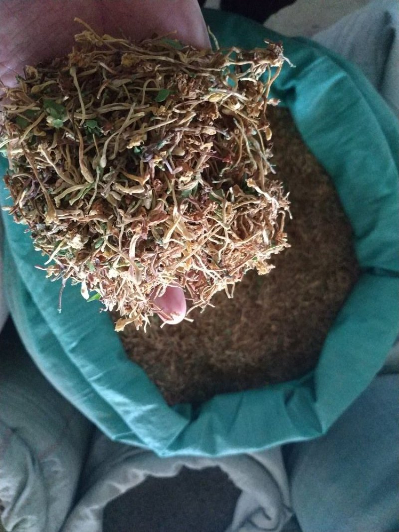 金银花云南野生干货现货