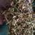 金银花云南野生干货现货