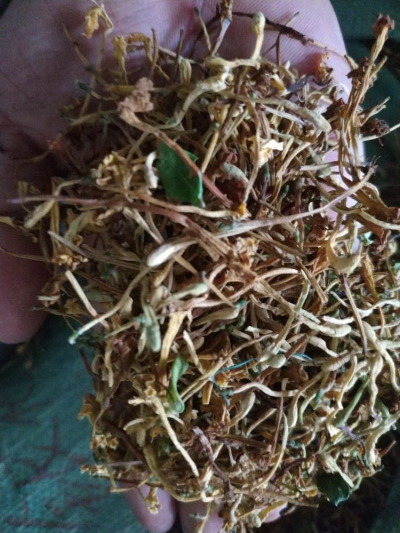 金银花云南野生干货现货