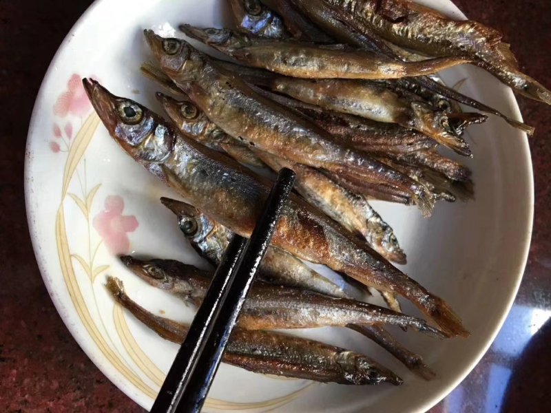 多春鱼
