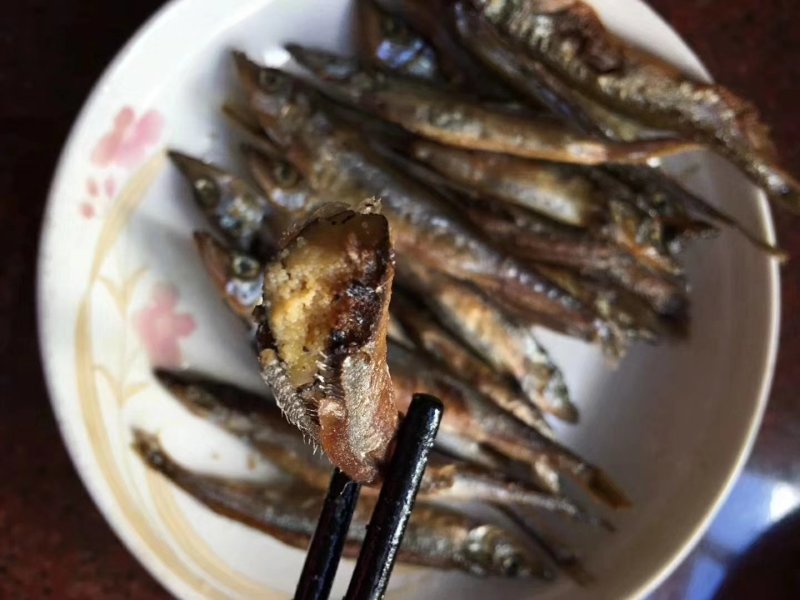 多春鱼
