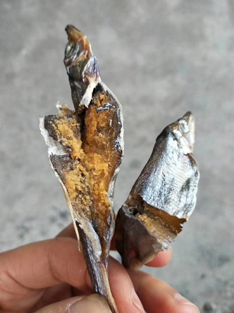多春鱼
