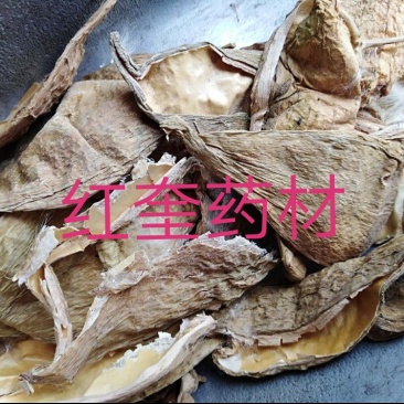 天浆壳萝摩荚、天浆壳、赖瓜瓢、羊角、麻雀棺材、剌猬瓜、