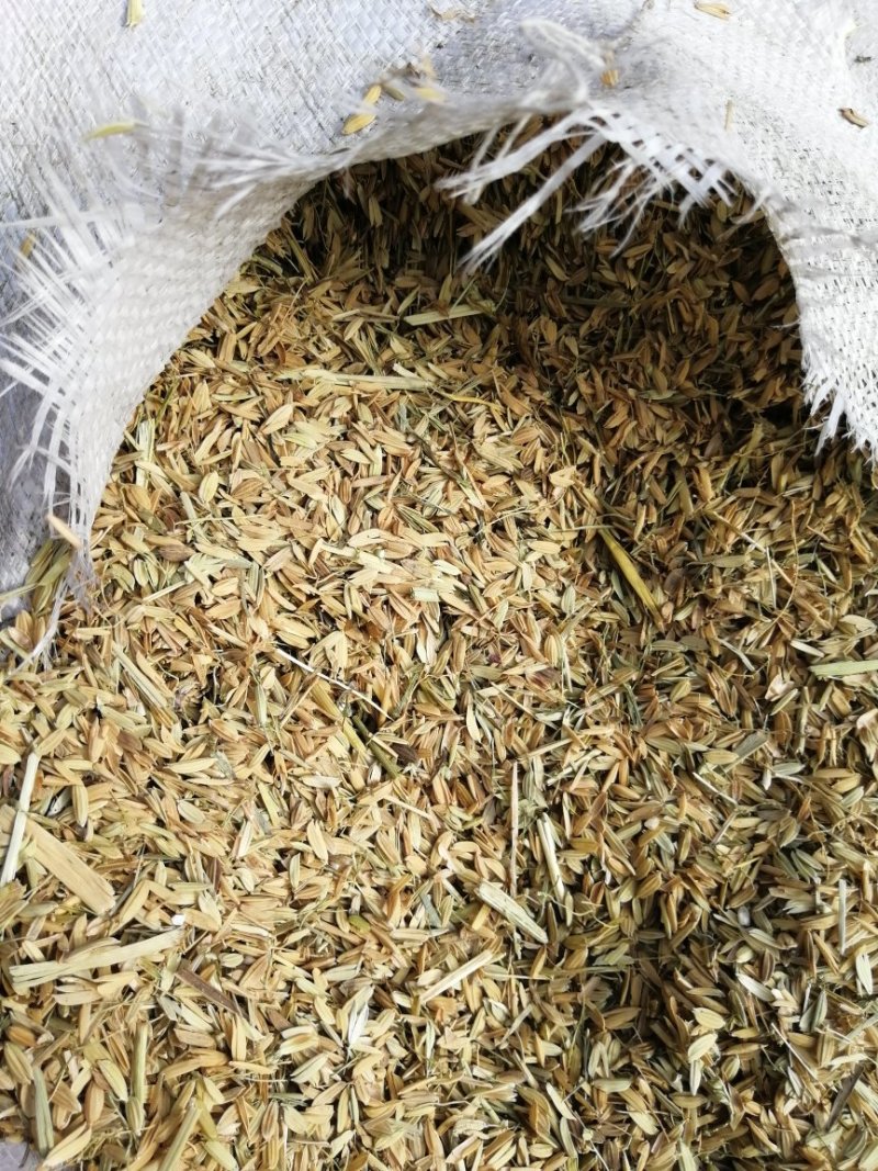 牛粪！鸡粪！谷壳！瘪谷！发酵有机肥