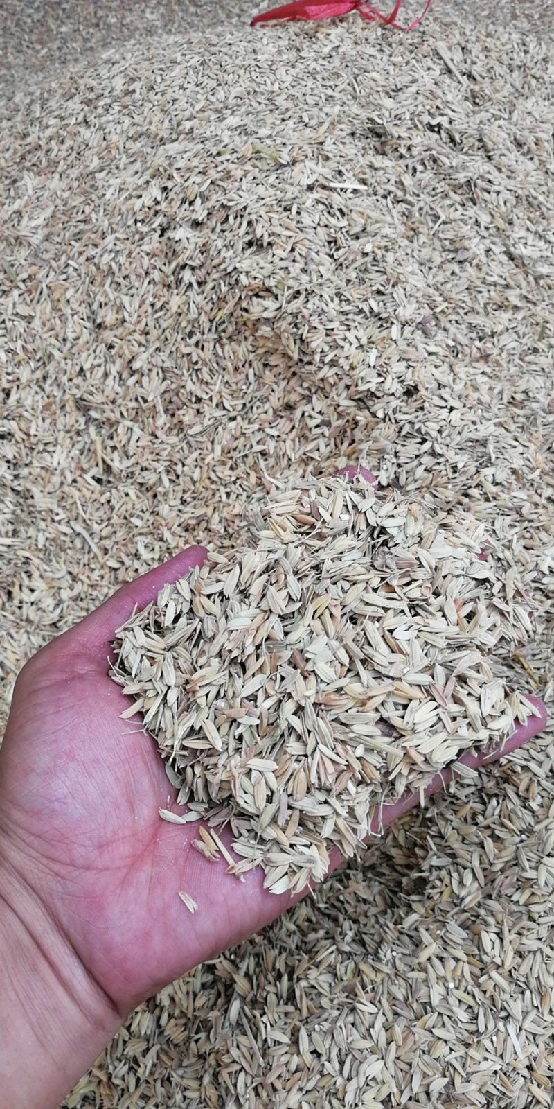 牛粪！鸡粪！谷壳！瘪谷！发酵有机肥