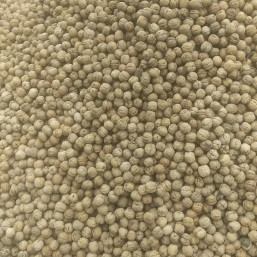 赞皇薄皮核桃