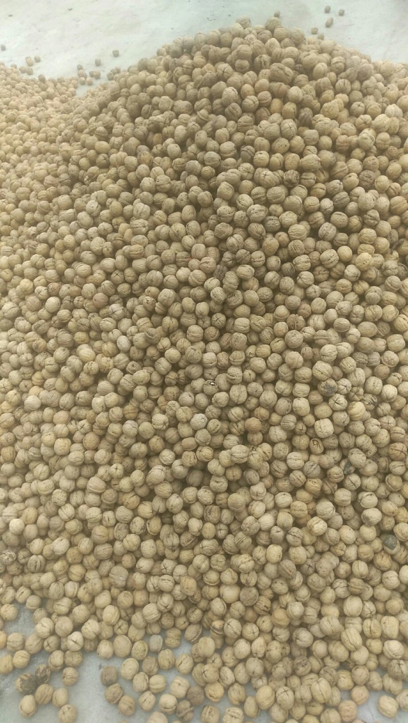 赞皇薄皮核桃