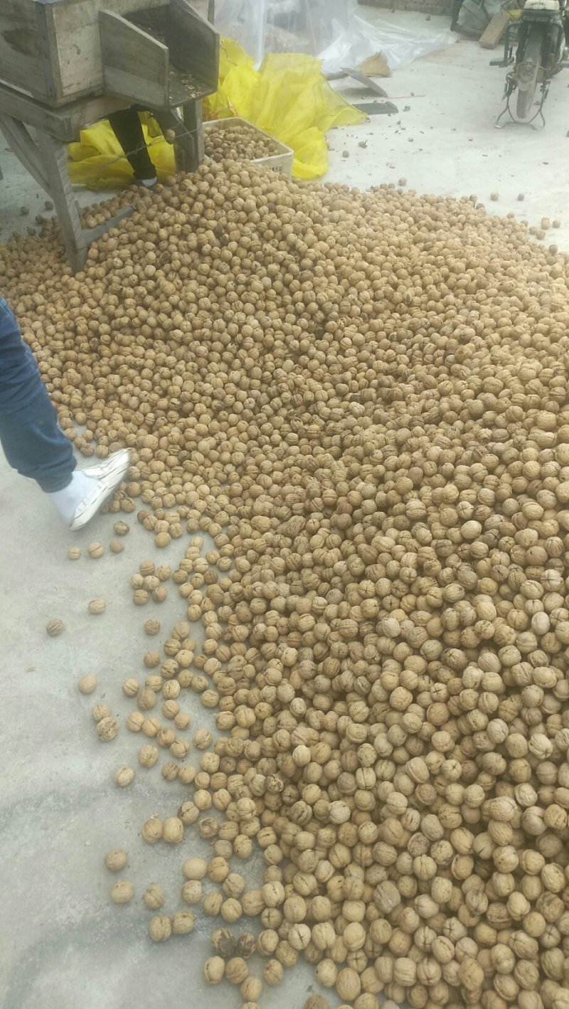 赞皇薄皮核桃