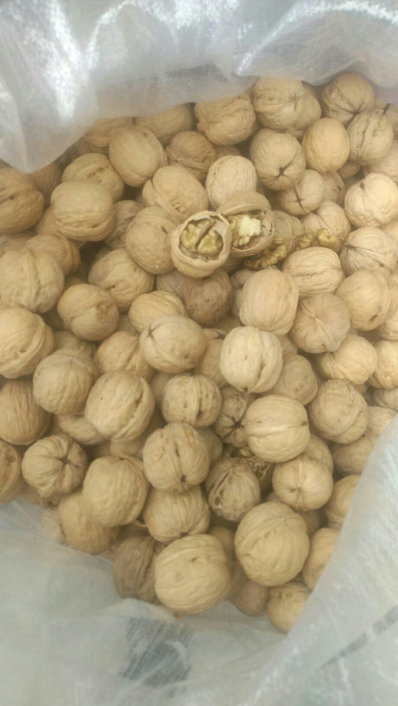 赞皇薄皮核桃