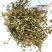 野生地锦草中药材斑地锦草花盖地血见愁红丝草奶汁浆草