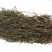 今年白花蛇舌草野生干货