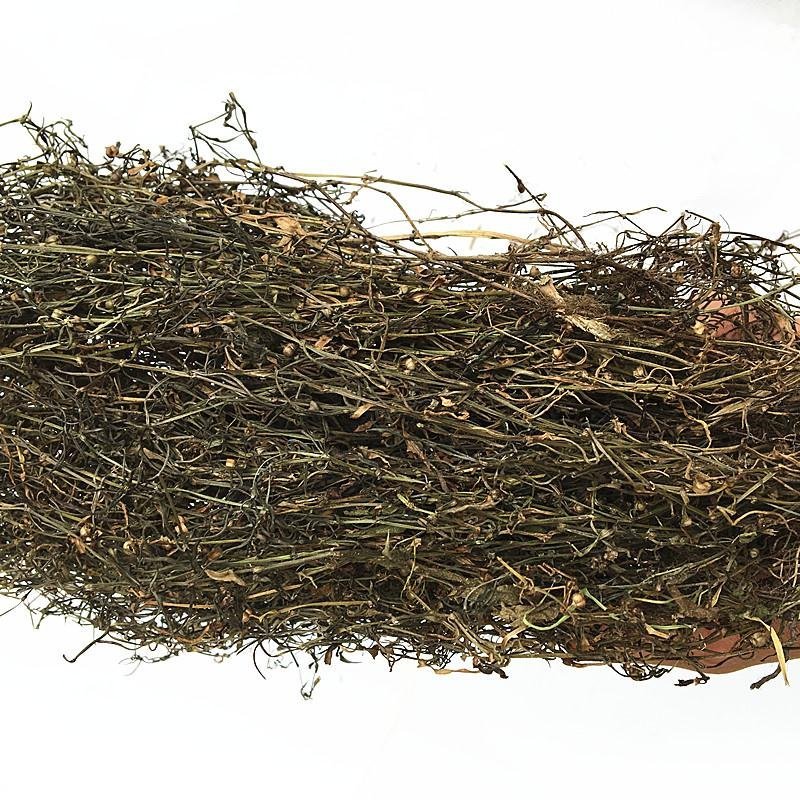 今年白花蛇舌草野生干货