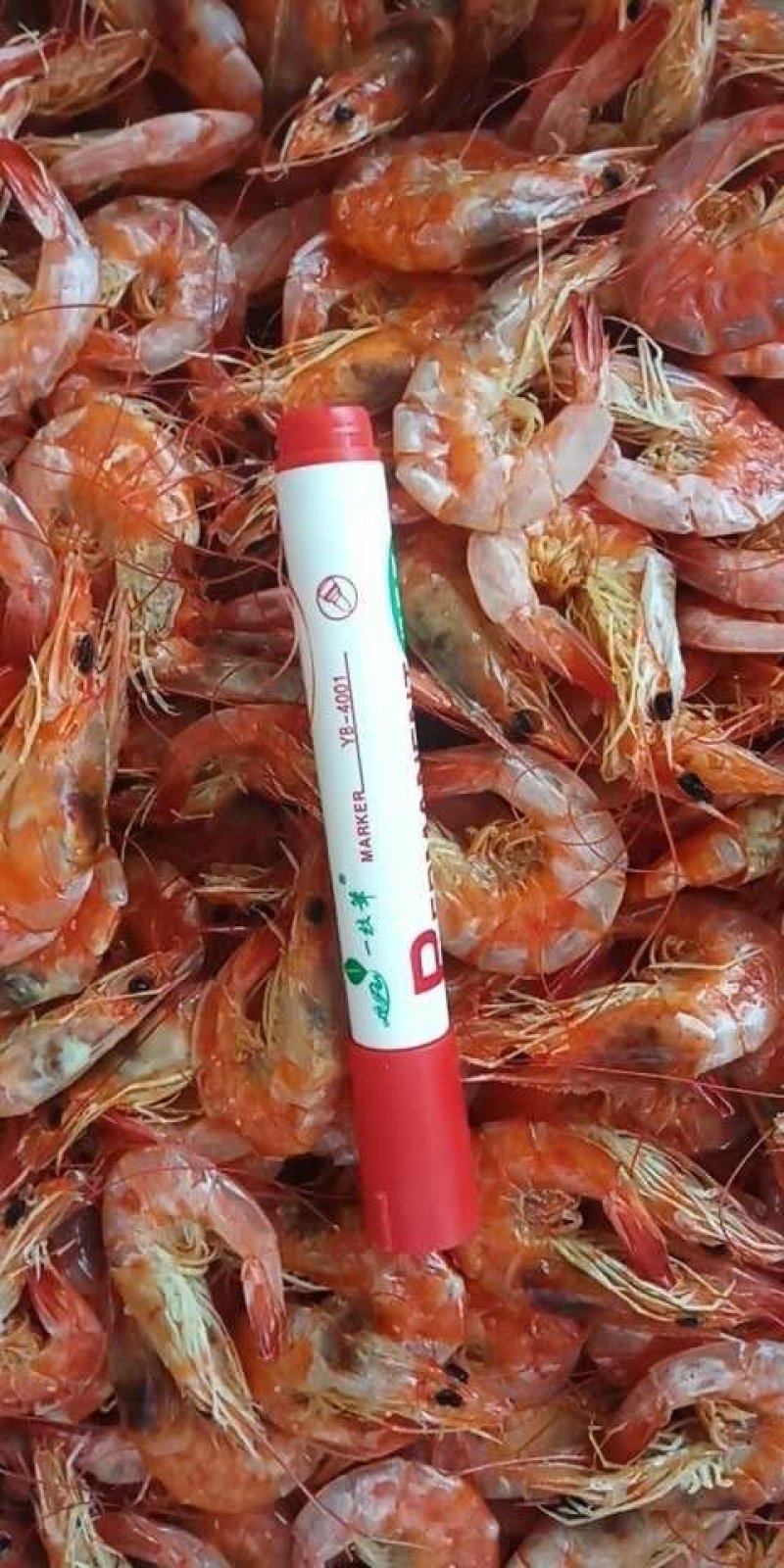虾