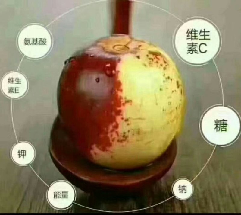 沾化冬枣