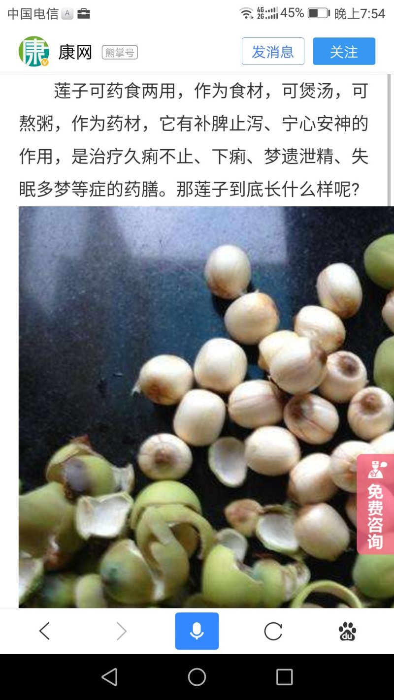优质莲子干