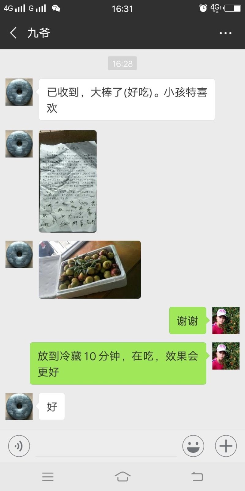沾化冬枣