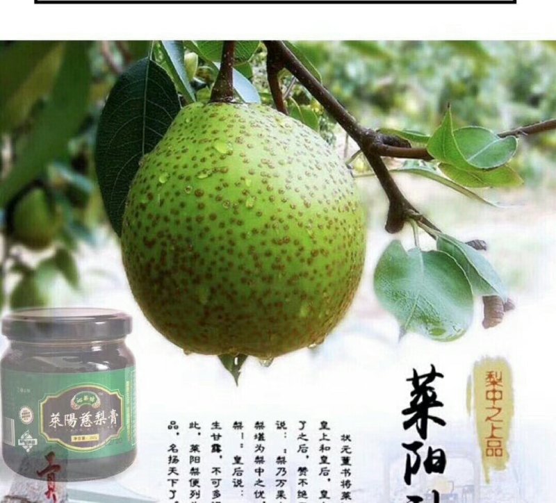 沁梨坊莱阳慈梨膏（250g）