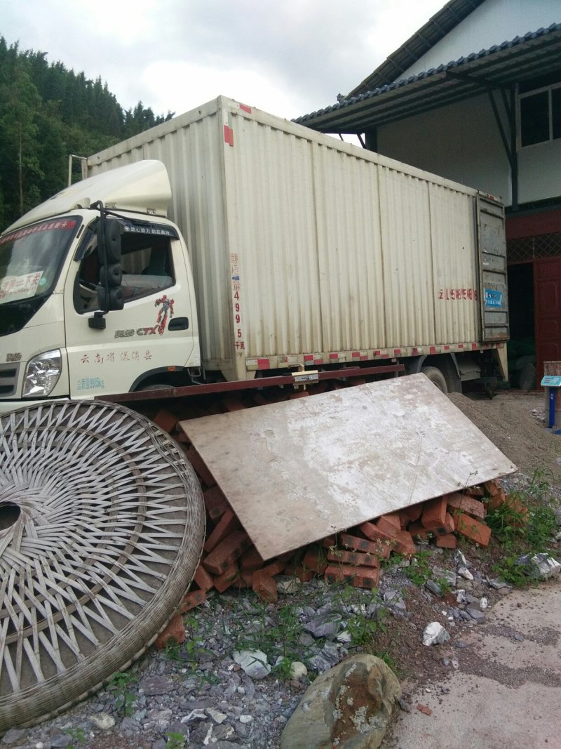 野生紫米核桃分心木