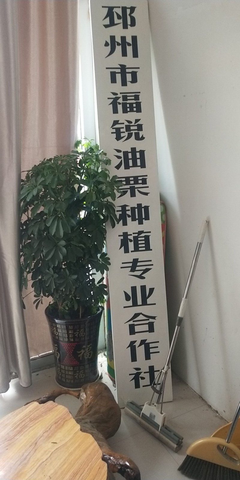 优质板栗新鲜上市欢迎新老客户采购