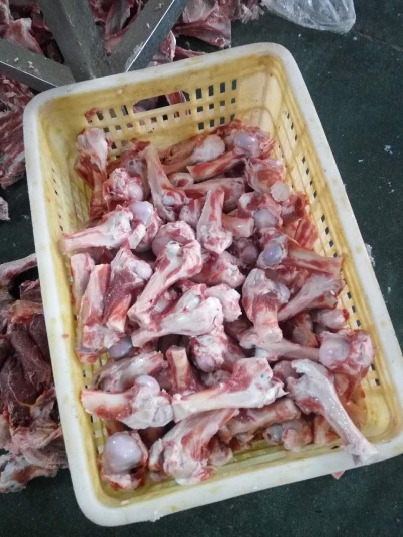 羊棒骨