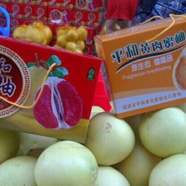 福建平和柚子大量上市，口感好，保甜，保水份，今天收1块钱
