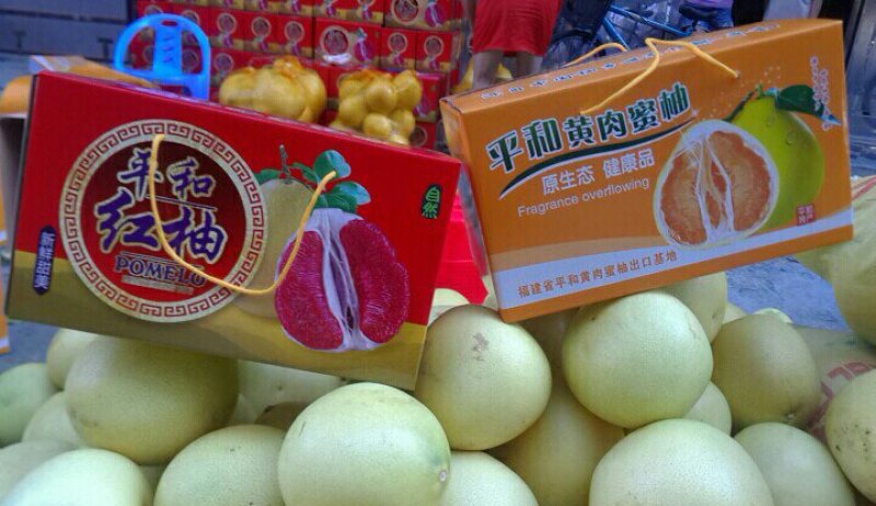 福建平和柚子大量上市，口感好，保甜，保水份，今天收1块钱