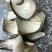 岗梅片，岗梅根，岗梅阳枝片