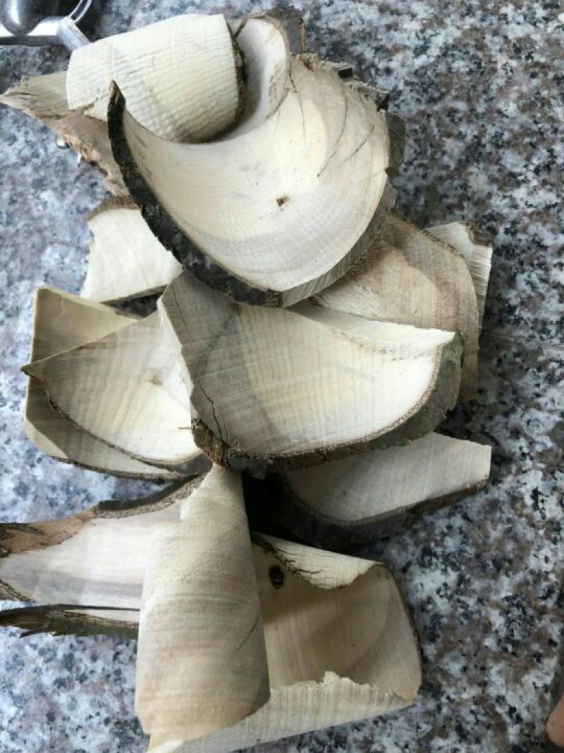 岗梅片，岗梅根，岗梅阳枝片