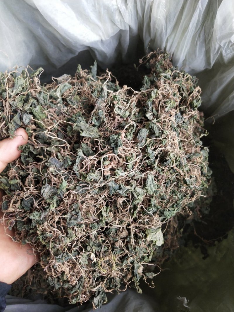 野生小叶青天葵半边脸水洗自然晒干500克包邮吧