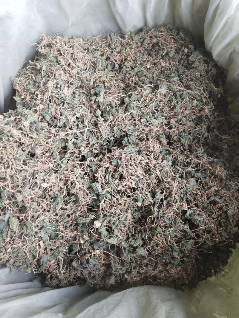 野生小叶青天葵半边脸水洗自然晒干500克包邮吧