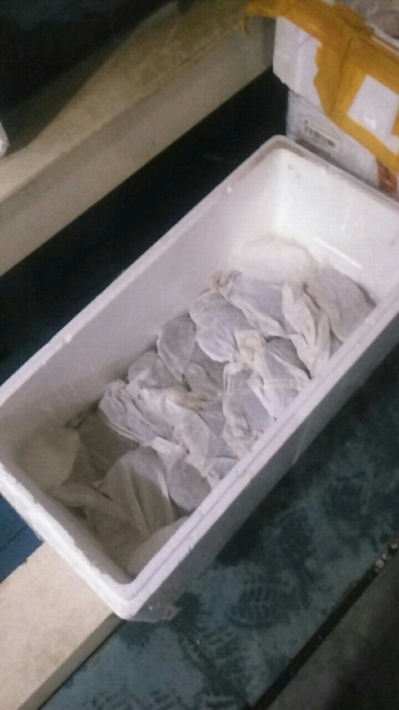 生态甲鱼，按斤分档销售，价格可商议