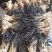 脱水白菜白菜干60斤（长期供应包运费）