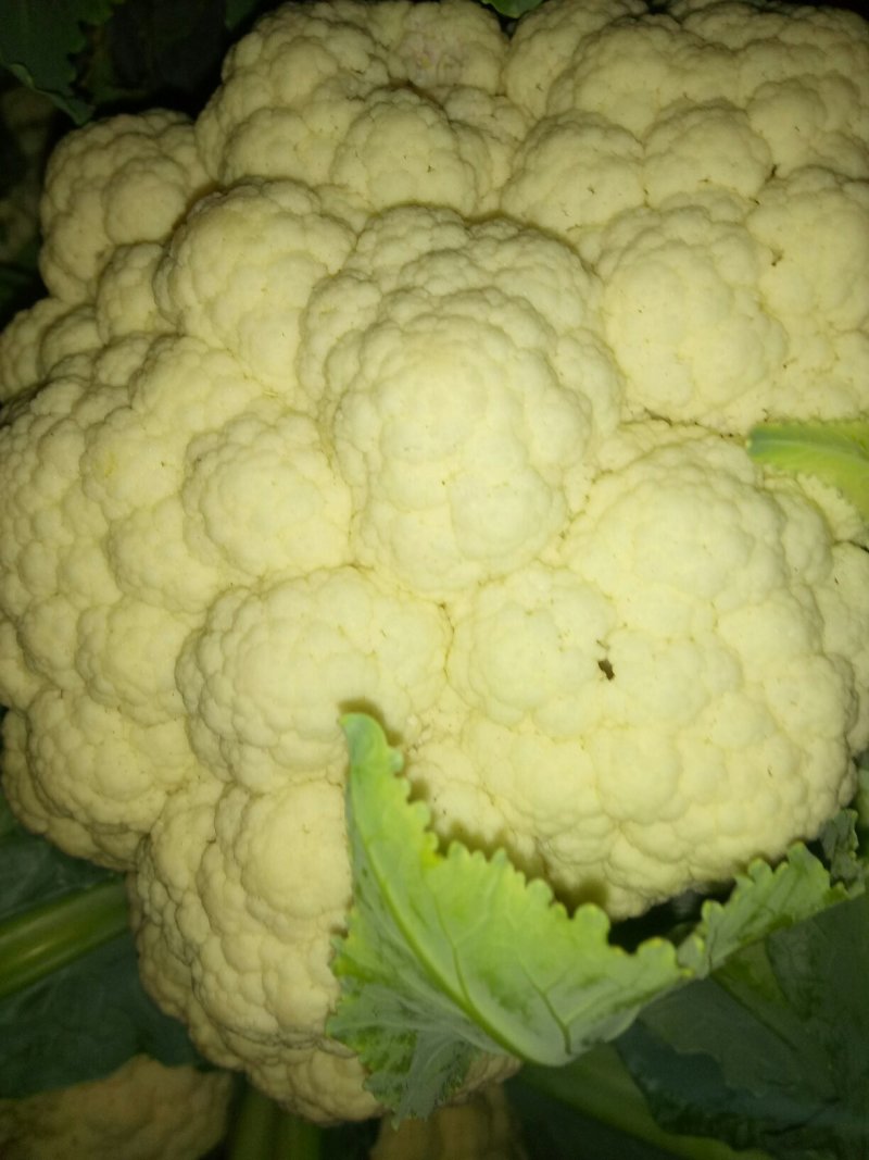 菜花