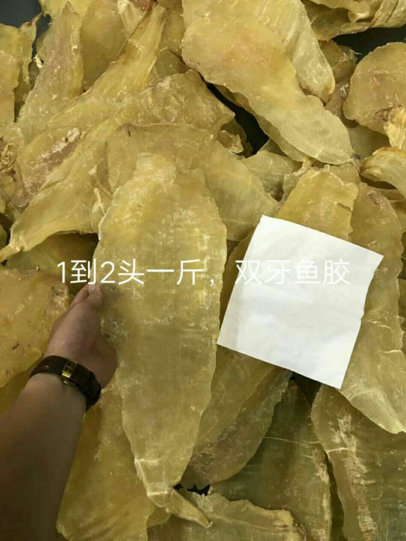 供大量多种新鲜急冻的上等质优价廉海鲜产品