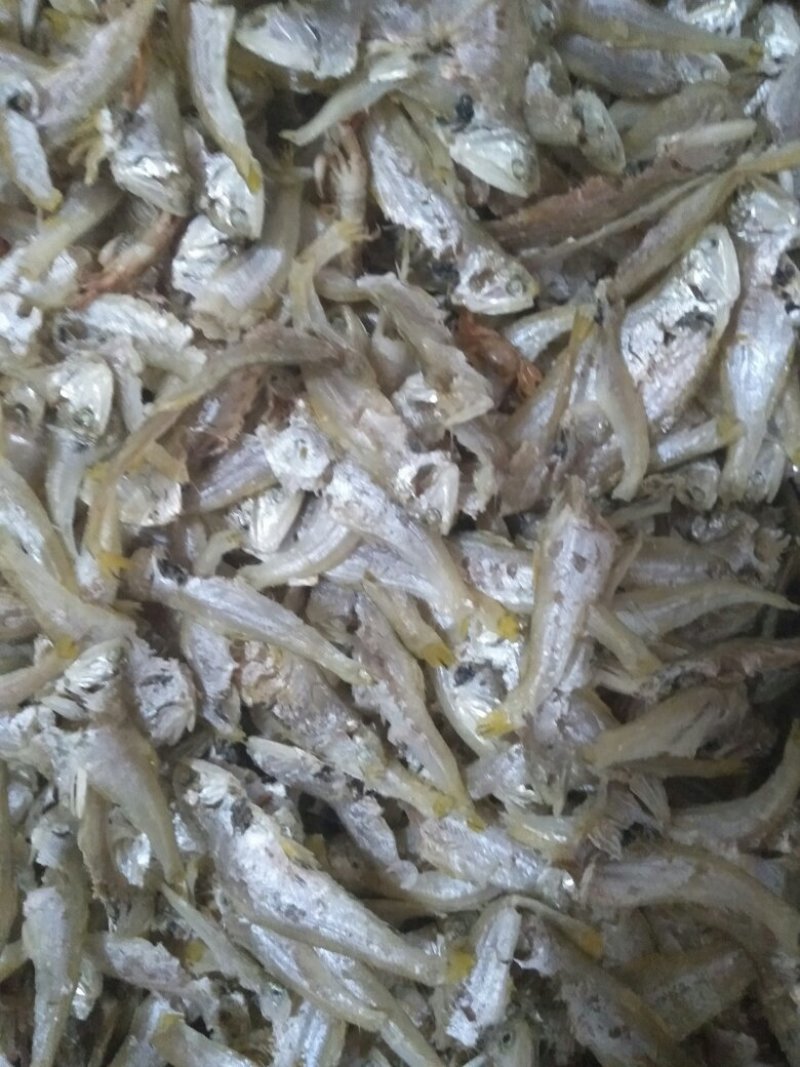 虾皮
