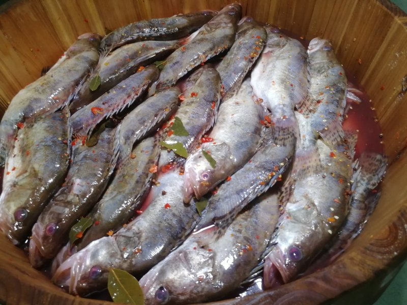 臭鳜鱼。300克至900克。精装。