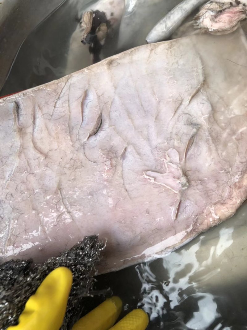 纯阿胶，纯驴肉