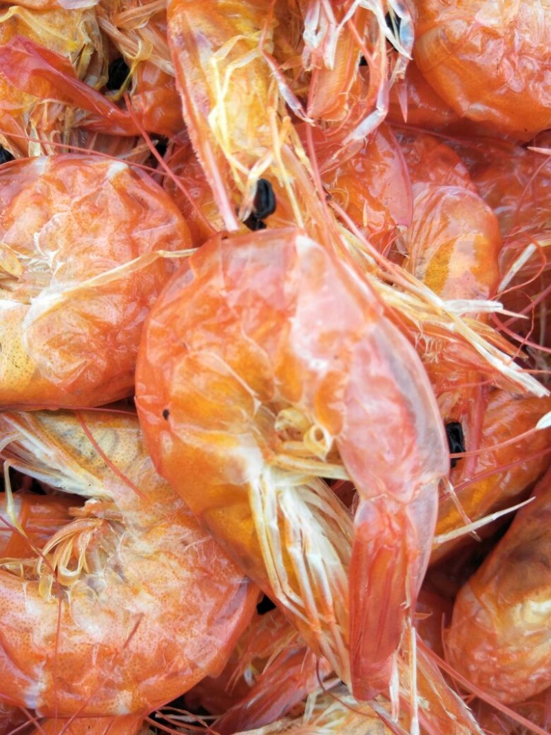 渤海湾的新鲜海产品