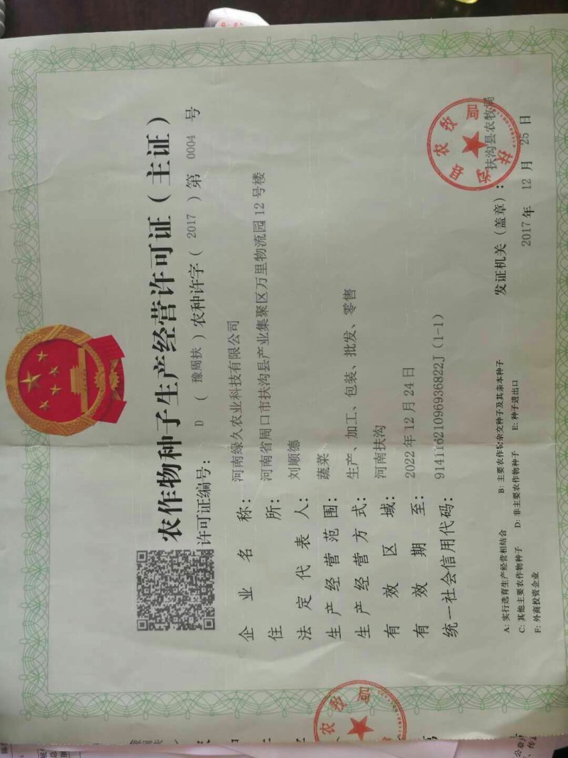 冬绿夏青袋装
