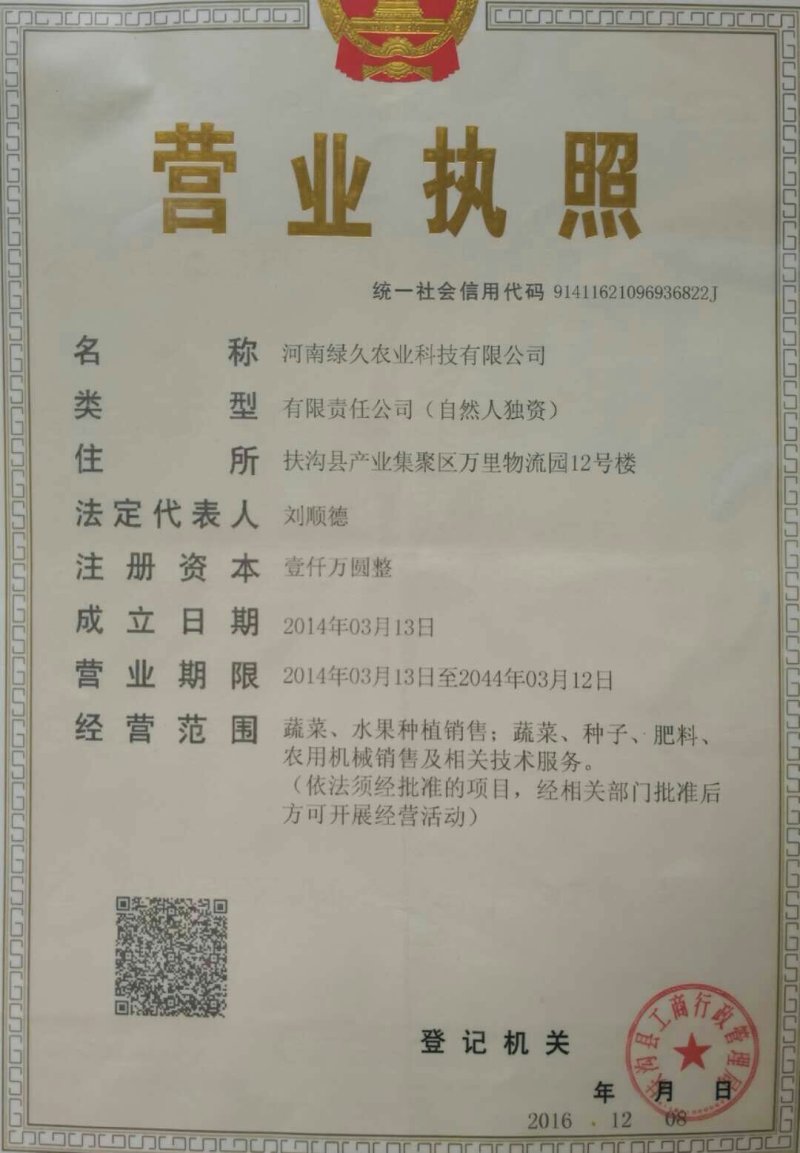 冬绿夏青袋装