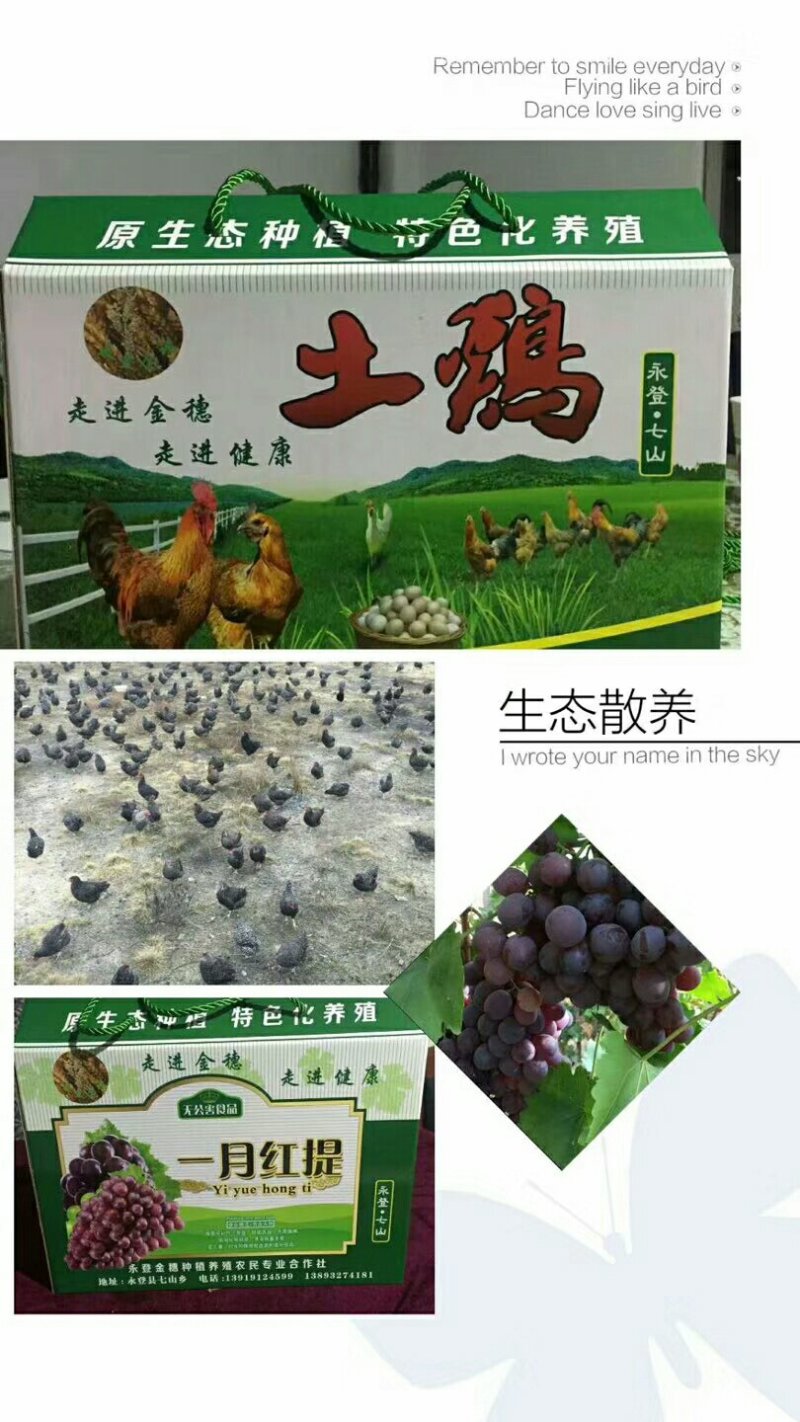 羊肉