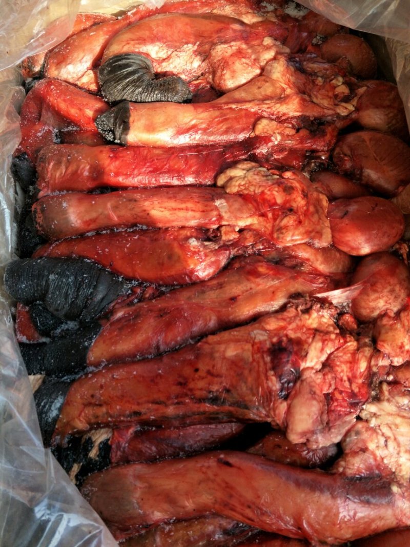 驴肉驴副产品
