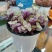 塑料花盆