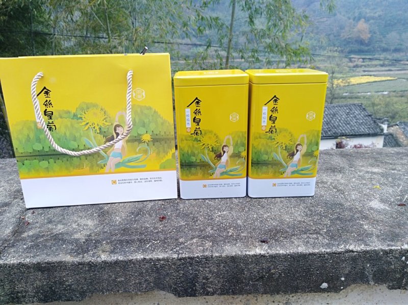 金丝皇菊